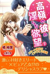 高嶺の彼の淫らな欲望 ～エリート課長のイジワルな溺愛～【2】