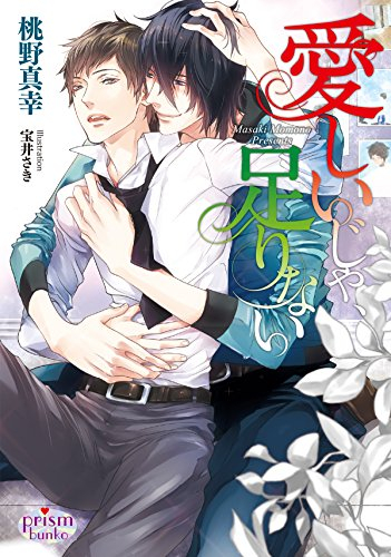 [ライトノベル]愛しいじゃ、足りない (全1冊)