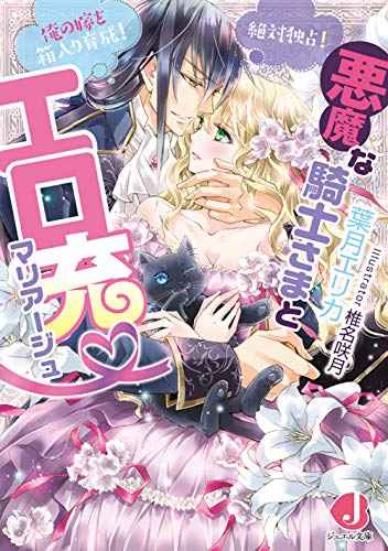 ライトノベル 悪魔な騎士さまとエロ充マリアージュ 絶対独占 俺の嫁を箱入り育成 全1冊 漫画全巻ドットコム