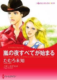 嵐の夜すべてが始まる【分冊】 1巻