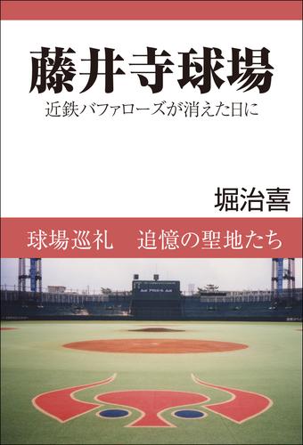 藤井寺球場　近鉄バファローズが消えた日に