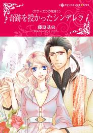 奇跡を授かったシンデレラ〈ザヴィエラの花嫁 Ｉ〉【分冊】 6巻