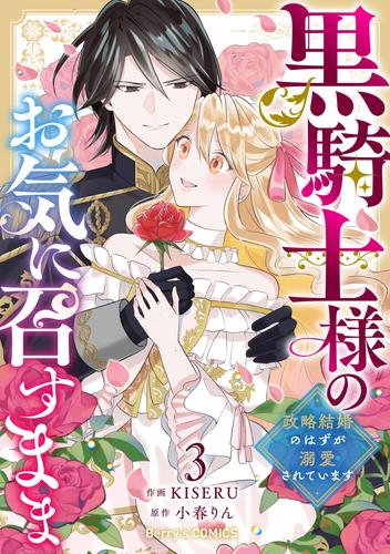 黒騎士様のお気に召すまま～政略結婚のはずが溺愛されています～ 3 冊セット 全巻