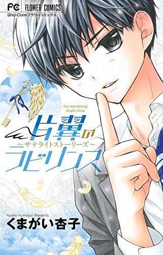 片翼のラビリンス サテライトストーリーズ (1巻 全巻)