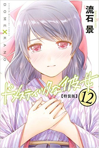 ドメスティックな彼女(12) 特装版 | 漫画全巻ドットコム