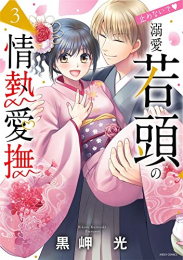 止めないで 溺愛若頭の情熱愛撫 (1-3巻 全巻)