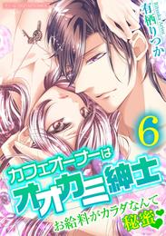 カフェオーナーはオオカミ紳士～お給料がカラダなんて秘蜜～【単行本】（６）