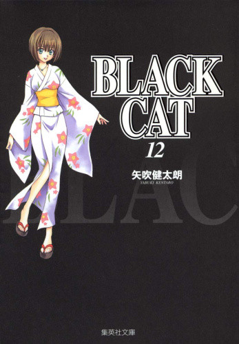 BLACK CAT ブラックキャット (1-20巻 全巻) | 漫画全巻ドットコム