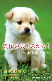 小学館ジュニア文庫　天国の犬ものがたり～ありがとう～