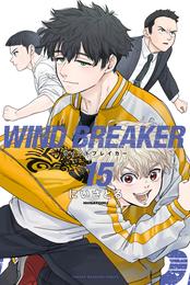 ＷＩＮＤ　ＢＲＥＡＫＥＲ（１５）