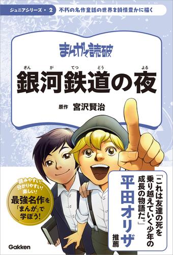 依光家系図覚書 ※細川天竺家 土佐 高知 応仁の乱 (誌面：並) [1w] - 本