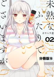 未熟なふたりでございますが　分冊版（１６）