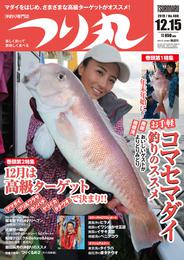 つり丸2019 10 冊セット 最新刊まで