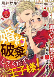 [ライトノベル]婚約破棄してください、王子様! (全1冊)