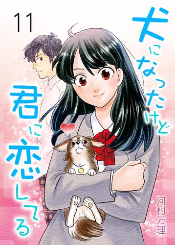 犬になったけど君に恋してる 11 冊セット 全巻