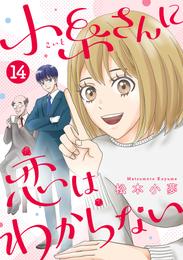 小糸さんに恋はわからない 14 冊セット 全巻