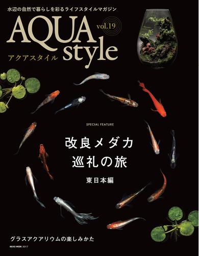 AQUA style 19号