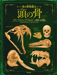 骨の博物館2 頭の骨