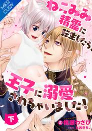 【合本版】ねこみみ精霊に転生したら、王子に溺愛されちゃいました！ 2 冊セット 全巻