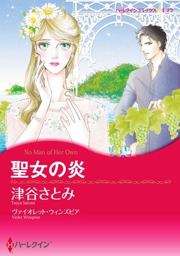 聖女の炎【分冊】 12 冊セット 全巻