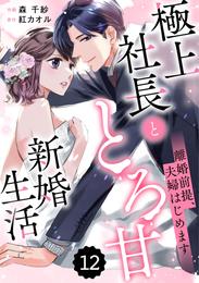 comic Berry’s離婚前提、夫婦はじめます~極上社長ととろ甘新婚生活~12巻