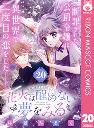 花火は醒めない夢をみる 分冊版 20