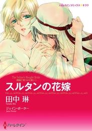 スルタンの花嫁〈異国で見つけた恋 Ｉ〉【分冊】 4巻