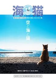 海猫