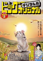 ビッグコミックオリジナル増刊 19 冊セット 最新刊まで