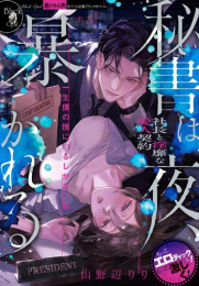 [ライトノベル]秘書は夜、暴かれる 社長と淫靡な愛人契約 (全1冊)