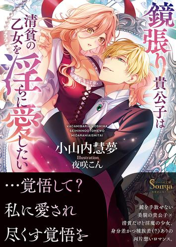 [ライトノベル]鏡張り貴公子は清貧の乙女を淫らに愛したい (全1冊)