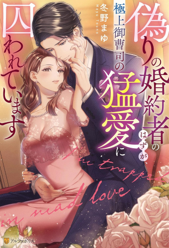 [ライトノベル]偽りの婚約者のはずが、極上御曹司の猛愛に囚われています (全1冊)