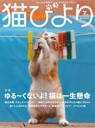 猫びより2020年7月号　Vol.112