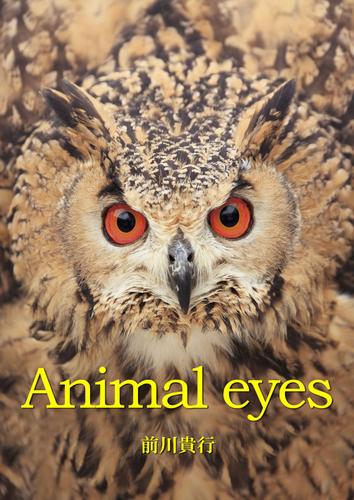 Animal eyes