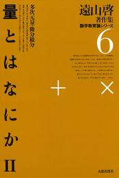 遠山啓著作集・数学教育論シリーズ　6　量とはなにか　２　多次元量・微分積分