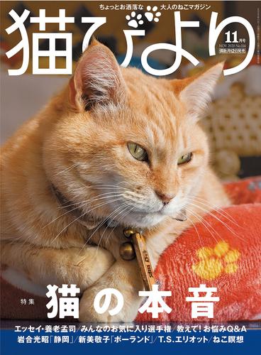 猫びより 24 冊セット 最新刊まで