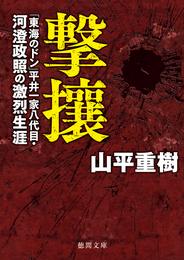 撃攘　「東海のドン」平井一家八代目・河澄政照の激烈生涯