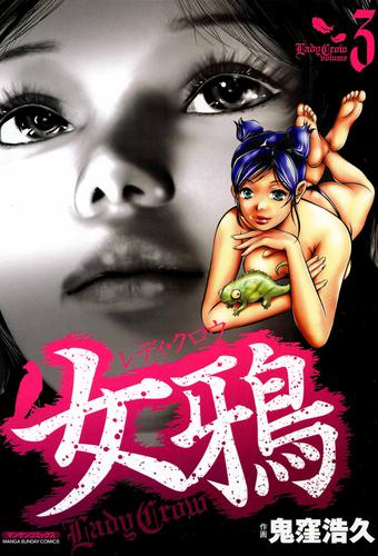 女鴉レディ・クロウ (1-3巻 全巻)