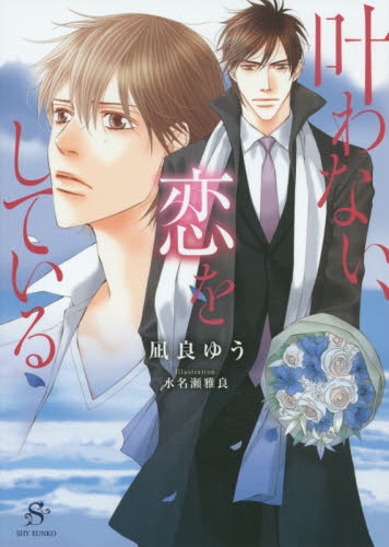 [ライトノベル]叶わない、恋をしている (全1冊)