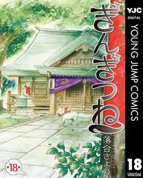 ぎんぎつね 18 冊セット 全巻