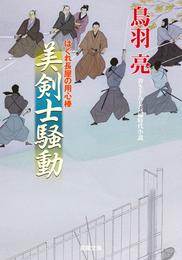 はぐれ長屋の用心棒 ： 30 美剣士騒動