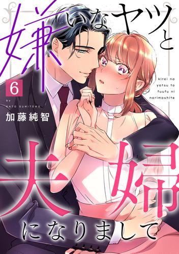 嫌いなヤツと夫婦になりまして 6 冊セット 全巻