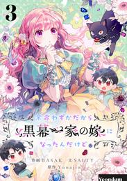 余命わずかだから黒幕一家の嫁になったんだけど 3 冊セット 最新刊まで