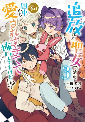 [ライトノベル]追放された聖女ですが、実は国中から愛されすぎてて怖いんですけど!? (全3冊)