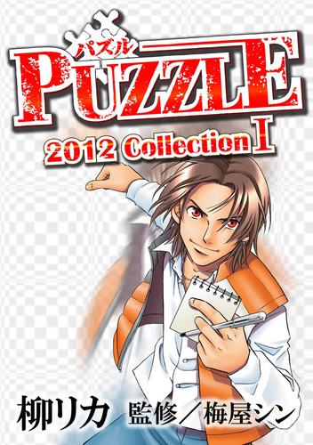 PUZZLE 2012collectionI