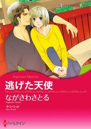 逃げた天使【分冊】 12 冊セット 全巻