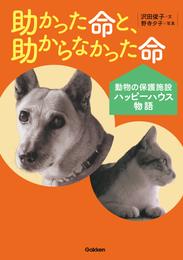 助かった命と、助からなかった命 動物の保護施設ハッピーハウス物語