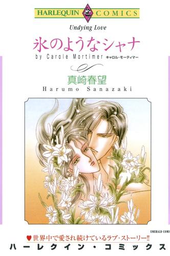 氷のようなシャナ【分冊】 12 冊セット 全巻
