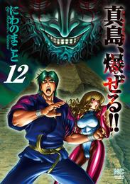 陣内流柔術流浪伝 真島、爆ぜる！！ 12