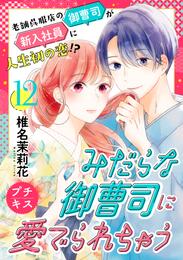 みだらな御曹司に愛でられちゃう　プチキス 12 冊セット 全巻